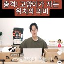 호식이두마리치킨김포