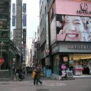 명동 Daum카페