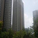 서구-01-20 이미지