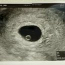 순천365여성의원 이미지