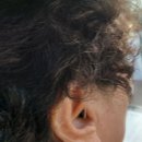 와이덱스보청기 의정부점 | 의정부보청기 찾는다면✨ 독일렉스톤보청기 의정부점에 할머니 모시고 온 후기