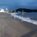 세미약국 이미지