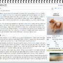 야옹아 멍멍해봐 동탄하나로점 네이버블로그
