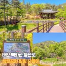 샘골1 | 태안 백화산 등산로 샘골공원 산책 5월 갈만한곳 힐링 나들이