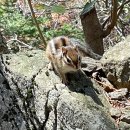 오대산 힐링타운 달빛동 이미지