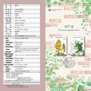 채소꽃