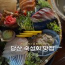 당산역 맛집 좋은 분위기에 플레이팅 예술인 회는 당산곶