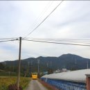 동신초교병설유치원 이미지