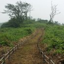 소망민박 이미지