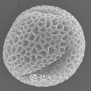 동강생태정보센터 이미지