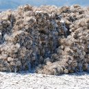 해안로1 이미지