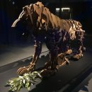 (주)모비아트 | [전시후기] 다빈치 코덱스전 문화역서울284 (구서울역사) 전시회