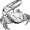 사오마트 이미지