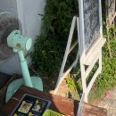 카페씨앤문(Cafe Sea & Moon) | 6-1] 그랩푸드 (치킨라이스, 쿤캐 아사이볼)/ GRAPH CAFE (바트커피 실패)/ 딥디 바인더 / Aoyjai...