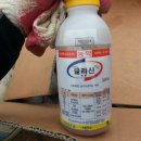 근삼농장 네이버블로그