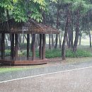 비오는 날 공원 풍경, 우중 산책의 멋 - 맑은 날엔 볼 수 없는 이 풍경﻿ 이미지