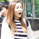 고기영역