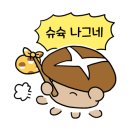 나그네야식 이미지