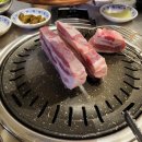 서울껍데기 이미지