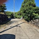 표선리-17 이미지