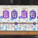 우유 이미지