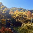 봉수산 자연휴양림 이미지