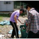 산드레 이미지