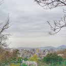 봉제산근린공원 이미지
