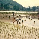 석전동180 이미지