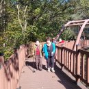 금산산림문화타운 이미지