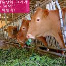 황우농장 이미지