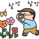청포대일등캠핑장 이미지