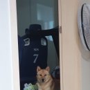 도진농장 네이버블로그