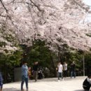 창원시립진해박물관 이미지