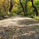 천년 역사 속 옛길 | 붙잡고 싶은 가을, 공주 갑사 오리 숲길과 공우탑
