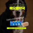 세종행복약국 이미지