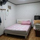 일오삼민박