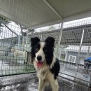 양덕동501 이미지