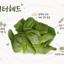 팜테크 | [내돈내산, 지금 할인 중!!!] 마트 상추랑은 차원이 다름! 장수테크팜 유럽상추 1kg 후기 🥬✨
