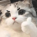 고태용이비인후과의원 이미지