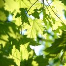 경희당한의원 이미지