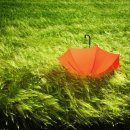 푸른풀밭