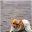 희망펜션 이미지