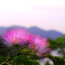 그릇나라 - 광명시 철산로30번길 19 | 그릇나라