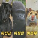 미스터 주 스타뉴스