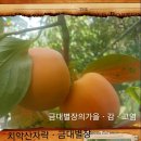 치악금대별장 이미지