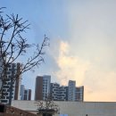 더봄(the봄) 이미지