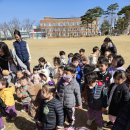 🌳숲 발대식-숲을 지키고 사랑해요🩷 이미지