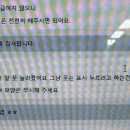 사라보래 | 붉은말의해의붉은소