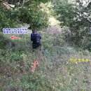 아우내농협 농산물종합유통센터 이미지